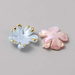 Capuchons de perles en acrylique. fleur&nbsp;OACR-CJC0006-14A