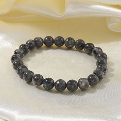Natürliche Larvikit-Perlen-Stretch-Armbänder&nbsp;X-BJEW-K212-B-046