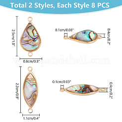 16 шт. 2 стиля подвески-соединители из ракушки пауа&nbsp;KK-PH0010-02