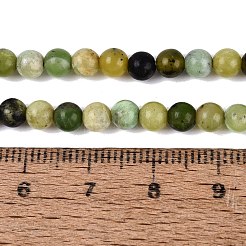 Cuentas serpentinas naturales hebras&nbsp;G-Q616-07A