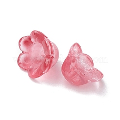 Прозрачные стеклянные бусины&nbsp;LAMP-FS0001-09E