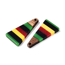 Подвески из ямайской цветной эпоксидной смолы и орехового дерева&nbsp;RESI-N039-122L