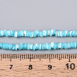 Chapelets de perles de coquille de trochid / trochus coquille&nbsp;SSHEL-N040-21B