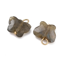 Natur Labradorit Anhänger&nbsp;KK-D289-61G-05