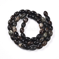 Природного биотита нитей бисера G-N346-02B-02