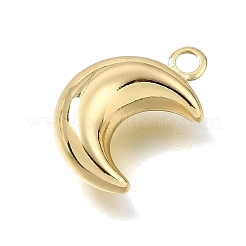 Messing Anhänger & Charms&nbsp;KK-A303-33G
