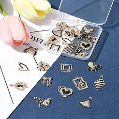 24шт 12 стиля подвески из сплава с эмалью&nbsp;ALRI-FS0001-05