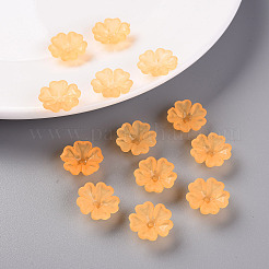 Coupelles en acrylique transparent mat&nbsp;MACR-S371-04A-724