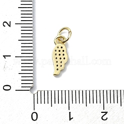 Ciondoli in ottone zirconi chiari micro pavé&nbsp;KK-H475-53G-01