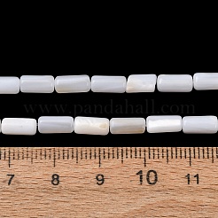 Natürlichen Süßwasser-Muschelperlen Stränge&nbsp;SH-CBA2978-21B