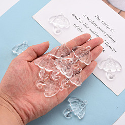 Прозрачные акриловые подвески&nbsp;TACR-T024-01B-205