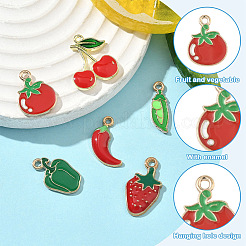 6шт 6 стиля подвески из сплава с эмалью&nbsp;ENAM-YW0005-68