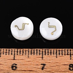 Perles de coquillages naturels d'eau douce&nbsp;BSHE-ZX007-03G