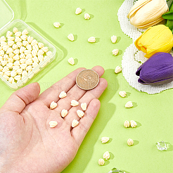 150 шт. бусины в форме ракушек в виде цветов пикаке&nbsp;FIND-HS0001-07