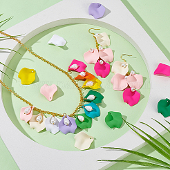 60шт 10 стиля непрозрачные подвески из смолы&nbsp;RESI-PH0002-59