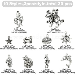 30шт 10 стиля подвески из сплава в тибетском стиле&nbsp;FIND-YW0007-06