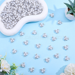 120 Stück Cabochons aus Legierungsharz.&nbsp;ALRI-ME0001-04P