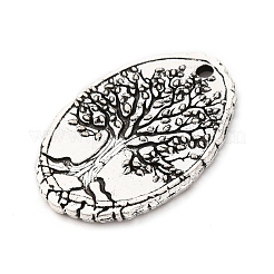Tibetischer stil Aluminium Anhänger & Charms&nbsp;FIND-A053-05C-AS