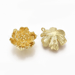 Латунные подвески&nbsp;KK-S349-254-NF