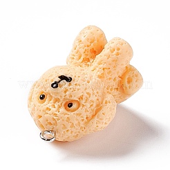 Подвески из непрозрачной смолы&nbsp;LS-RESI-E032-01P-06