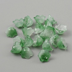 Колпачки для бусин лэмпворк ручной работы&nbsp;LAMP-WH0005-03F