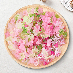 Kit fai da te di reperti di fiori e foglie&nbsp;DIY-BM0001-12A