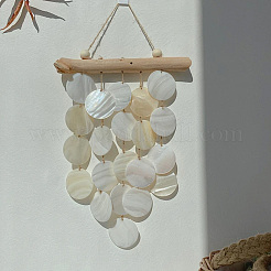 60 шт. 3 стиля подвески из натуральной ракушки капиз&nbsp;SSHEL-SC0001-43