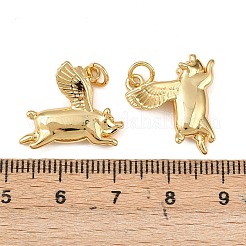 Латунные подвески&nbsp;KK-L255-20G-01