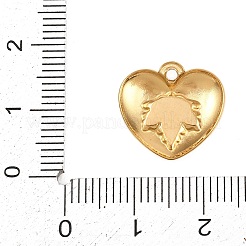 Подвески из нержавеющей стали 304 с эмалью&nbsp;STAS-P430-03A-G01