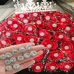 10 spilla con testa di strass in lega di cristallo&nbsp;FIND-LP0009-12