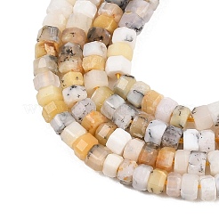 Натуральные дендритные африканские опаловые бусины&nbsp;G-G345-C21-2x4mm