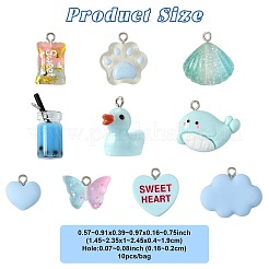 1 пакетик подвесок из смолы&nbsp;RESI-FS0002-22