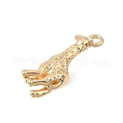 Messing Anhänger & Charms&nbsp;KK-CBA2395-03G