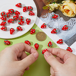 30 шт. Бусины лэмпворк&nbsp;LAMP-DC0001-26