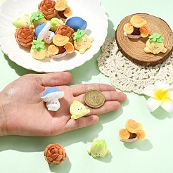 20шт 5 стиля мини имитация смолы&nbsp;RESI-CJ0004-74