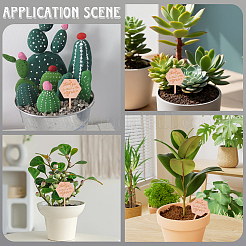 30 étiquette de plante en bois&nbsp;DIY-GF0014-19B