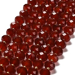 Природного сердолика нитей бисера&nbsp;G-P573-A65-10x6mm