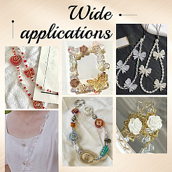 Прозрачные акриловые бусины&nbsp;OACR-PH0004-32B