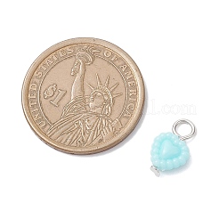 Непрозрачные акриловые подвески&nbsp;PALLOY-JF04351-01