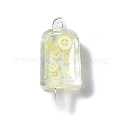 Transparente Harzanhänger&nbsp;RESI-D057-17