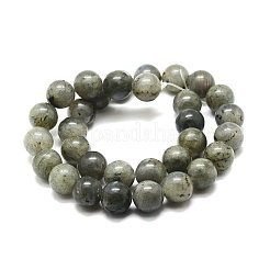 Labradorite naturale fili di perline&nbsp;X-G-P256-01-8mm