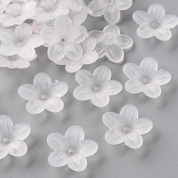 Protezioni tallone acrilico smerigliato, 5 -petal, fiore, bianco, 19.5x20x5.5mm, Foro: 1.6 mm, circa 740pcs/500g