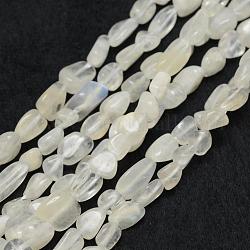 Brins de perles de pierre de lune arc-en-ciel naturel, pierre roulée, pépites, 6~8x4~6mm, Trou: 1mm, 15.3 pouce (39 cm)