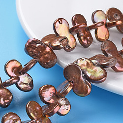Chapelets de perles en Keshi naturel, perle de culture d'eau douce, teinte, gourde, Sienna, 20~28x10~12x2~6mm, Trou: 0.5mm, Environ 44~50 pcs/chapelet, 16.53~17.32 pouces (42~44 cm)