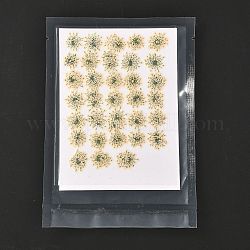 Pressed Dried Flowers, for Cellphone, Photo Frame, Scrapbooking DIY Handmade Craft, Beige, 15~20x13~19mm, 100pcs/bag