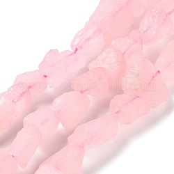 Perlas de cuarzo rosa cruda naturales ásperos, pepitas, 4~11x4.5~14.5x4.5~14.5mm, agujero: 0.8 mm, aproximamente 41~43 pcs / cadena, 15.35~15.94'' (39~40.5 cm)