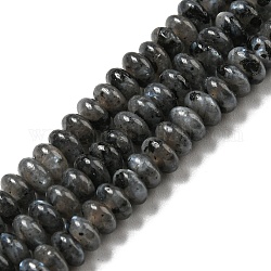 Brins de perles de larvikite naturelles, rondelle, 4~4.5x2~2.5mm, Trou: 1.2mm, Environ 155~163 pcs/chapelet, 15.24''~15.31'' (38.7~38.9 cm)
