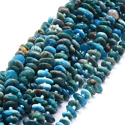 Chapelets de perles en apatite naturelle, pépites, 8~11x9~14x1.5~5mm, Trou: 0.8mm, Environ 74 pcs/chapelet, 15.55'' (39.5 cm)