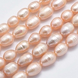 Brins de perles de culture d'eau douce naturelles, riz, saumon clair, 8~13x7mm, Trou: 0.8mm, Environ 42 pcs/chapelet, 14 pouce (35.5 cm)