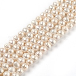 Fili di perle di perle d'acqua dolce coltivate naturali, tondo, bisque, 7~8x7.5~9mm, Foro: 0.6 mm, circa 48pcs/filo, 14.17 pollice (36 cm)